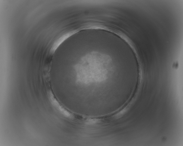 X0000112351385200908201430