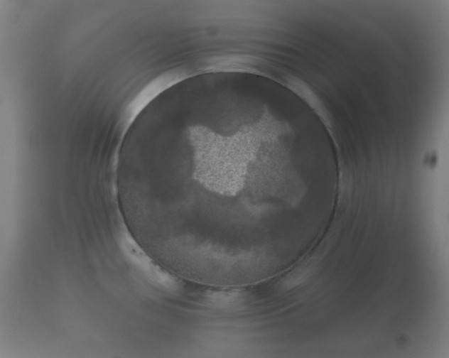 X0000112351386200908201430