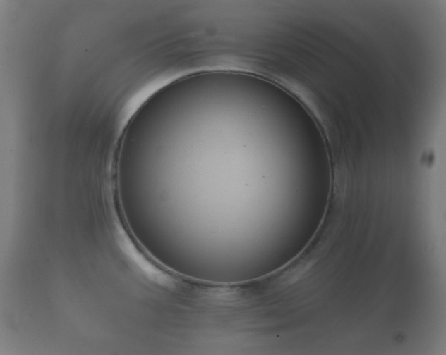 X0000112351387200908201430