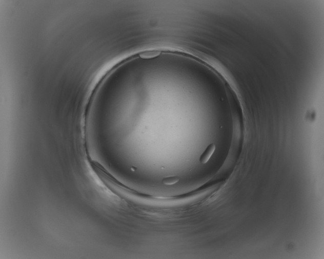 X0000112351388200908201430