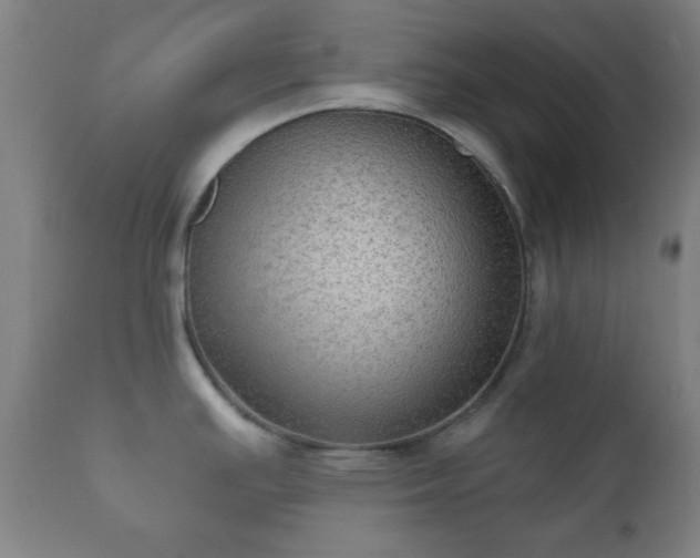 X0000112351391200908201430