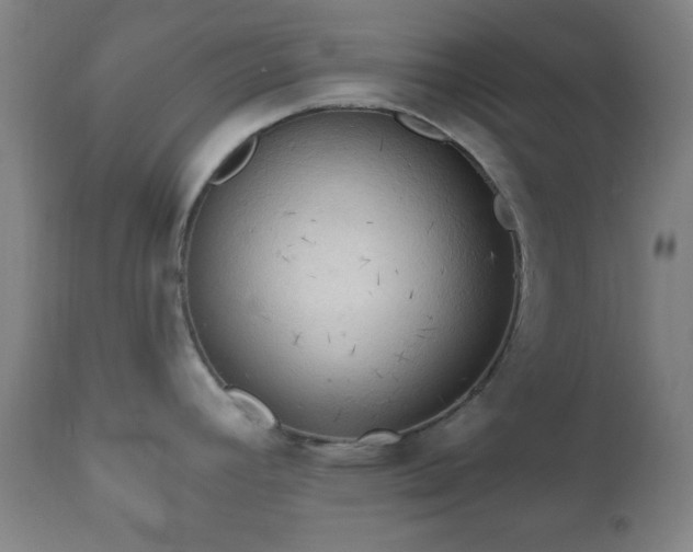 X0000112351392200908201430