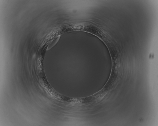 X0000112351394200908201429