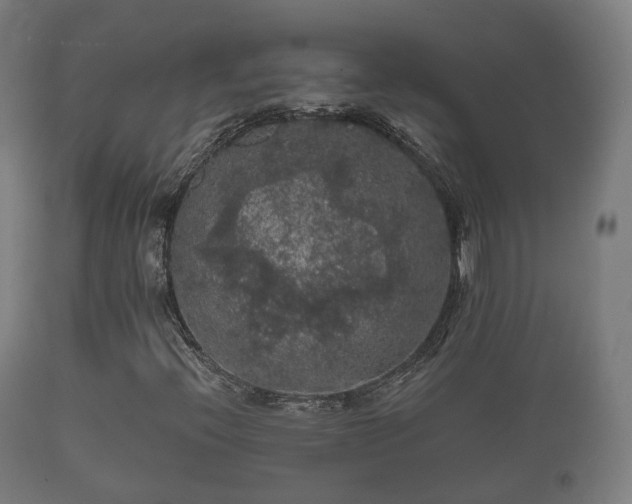 X0000112351396200908201429