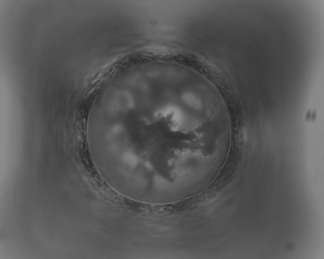 X0000112351397200908201429