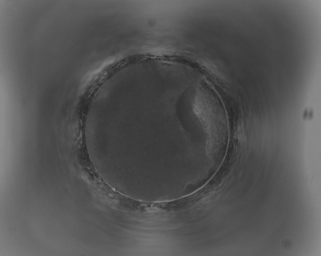 X0000112351398200908201429