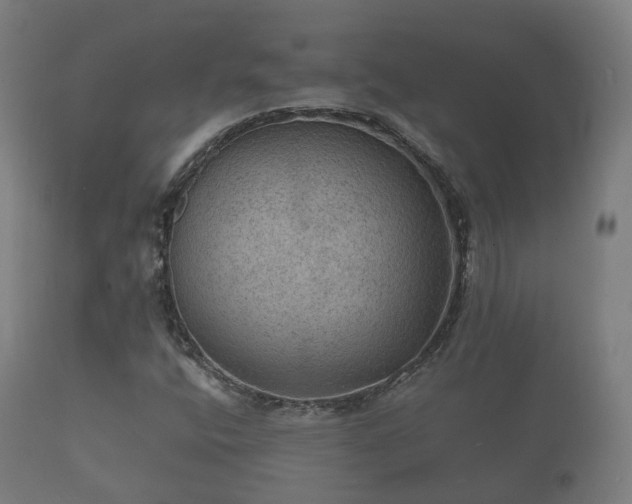 X0000112351400200908201429