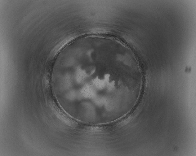 X0000112351401200908201429