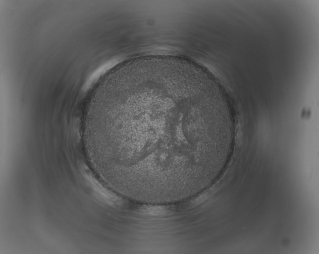 X0000112351402200908201429