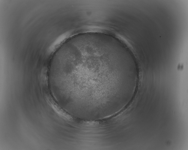 X0000112351403200908201429