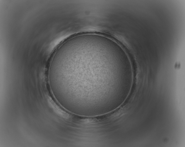 X0000112351404200908201429