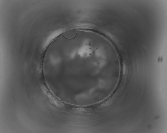 X0000112351405200908201429