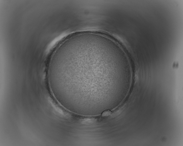 X0000112351406200908201429