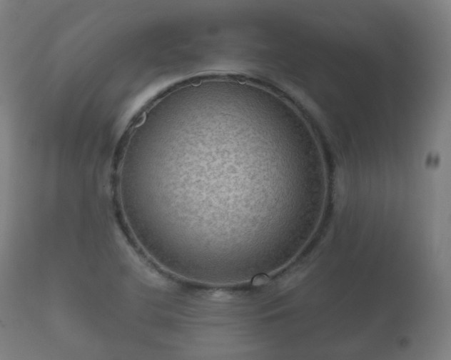 X0000112351412200908201429