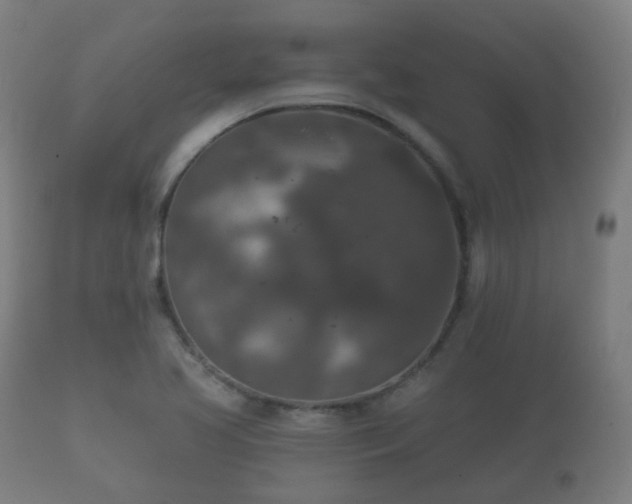 X0000112351413200908201429