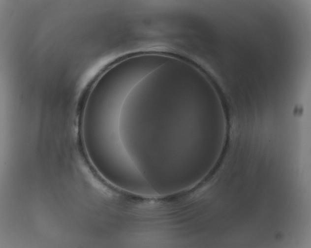 X0000112351414200908201429
