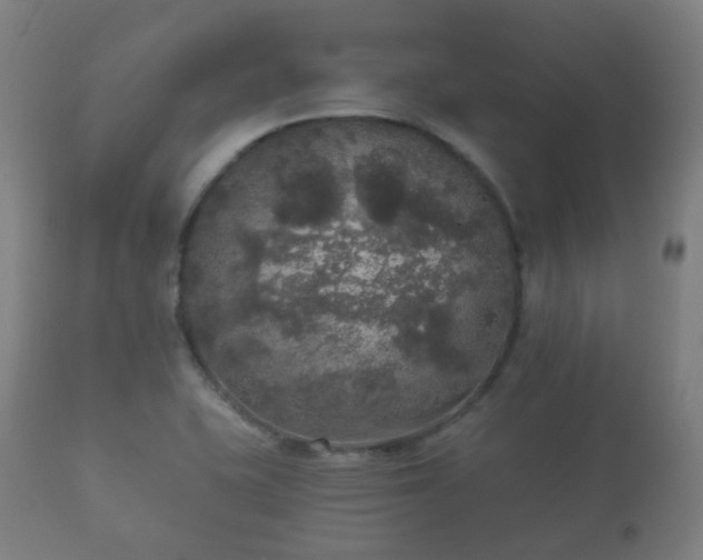 X0000112351415200908201429