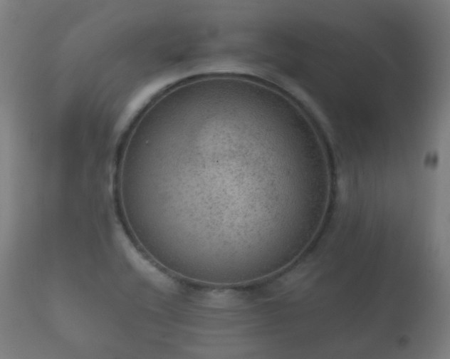 X0000112351416200908201429