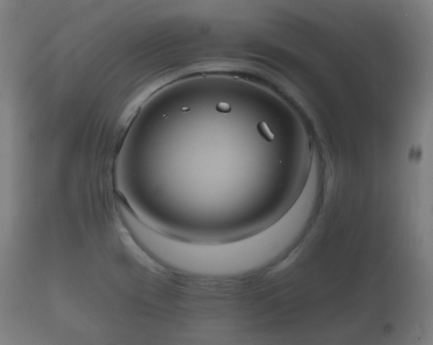 X0000112351417200908201429