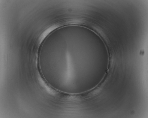 X0000112351418200908201429