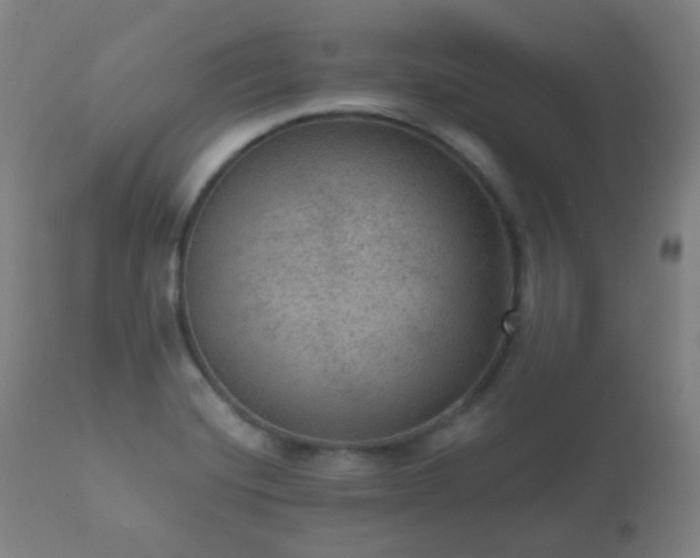X0000112351420200908201430