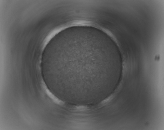 X0000112351421200908201430