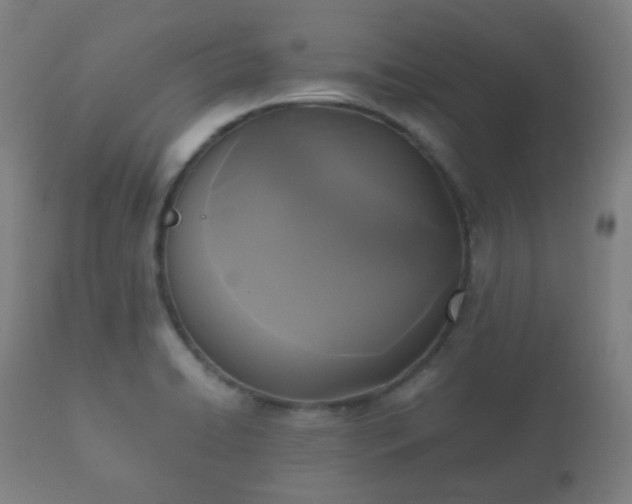 X0000112351422200908201430