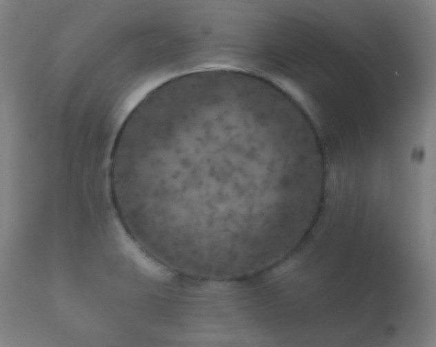 X0000112351423200908201430