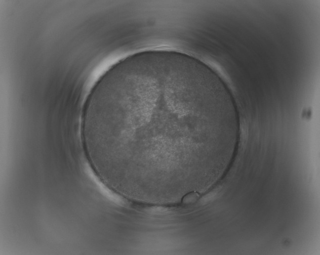 X0000112351424200908201430