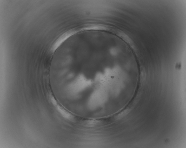 X0000112351425200908201430