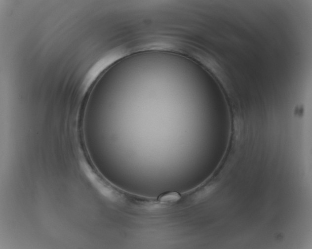 X0000112351426200908201430