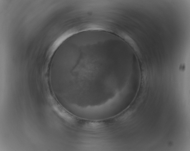 X0000112351427200908201430
