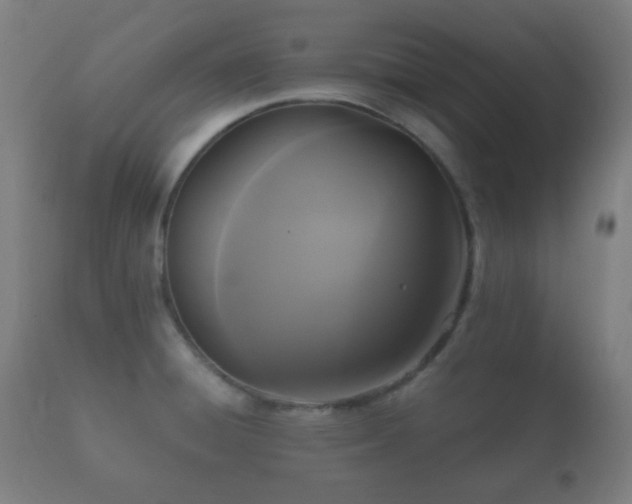 X0000112351428200908201430