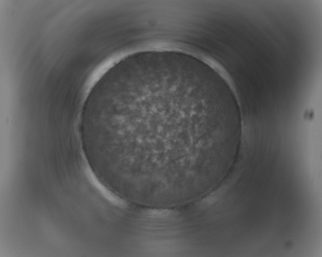 X0000112351429200908201430
