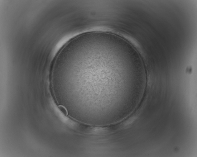 X0000112351430200908201430