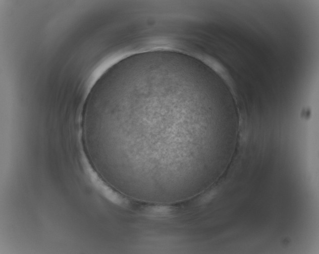 X0000112351431200908201430