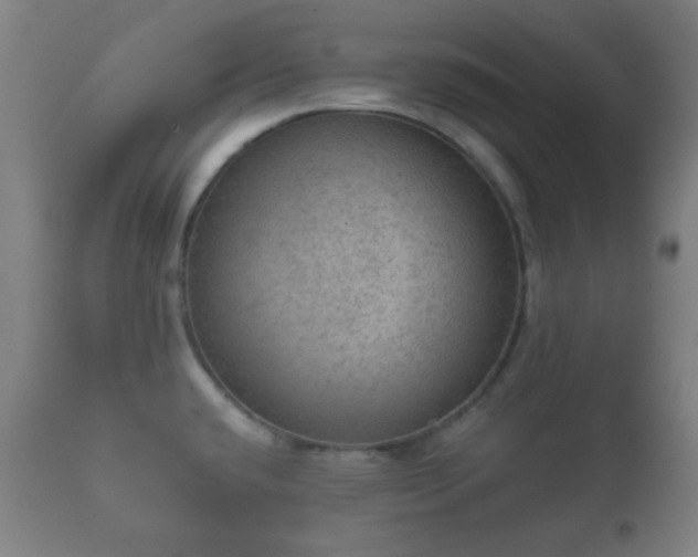 X0000112351432200908201430