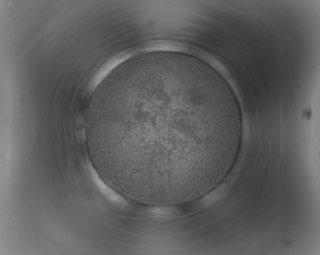 X0000112351433200908201430
