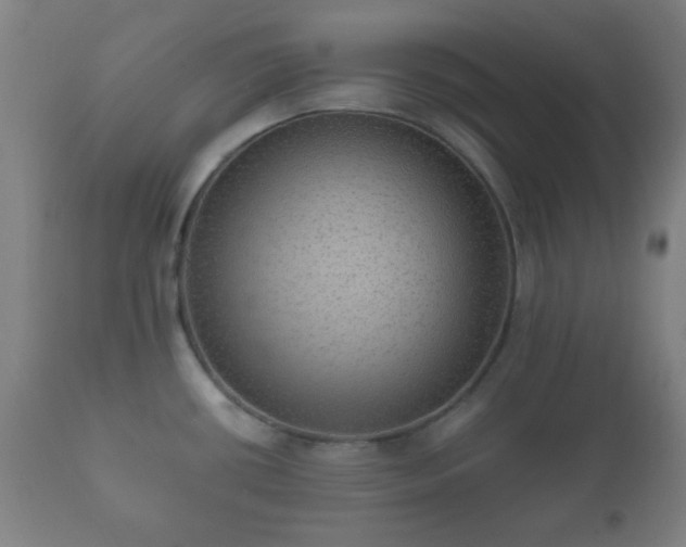 X0000112351434200908201430