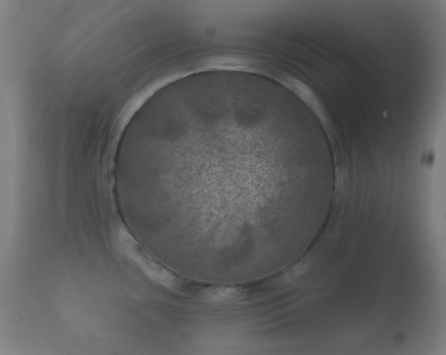 X0000112351435200908201430