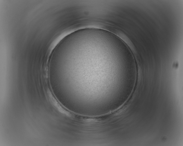 X0000112351436200908201430