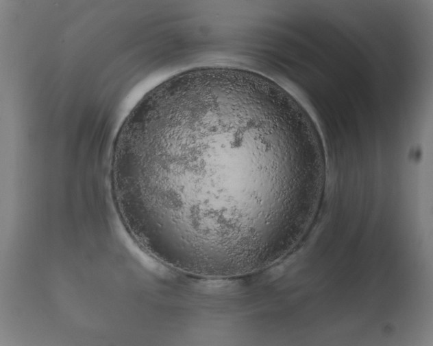 X0000112351437200908201430