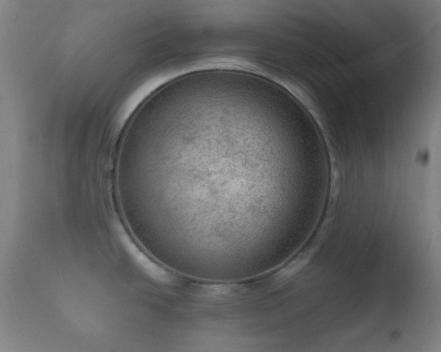X0000112351438200908201430