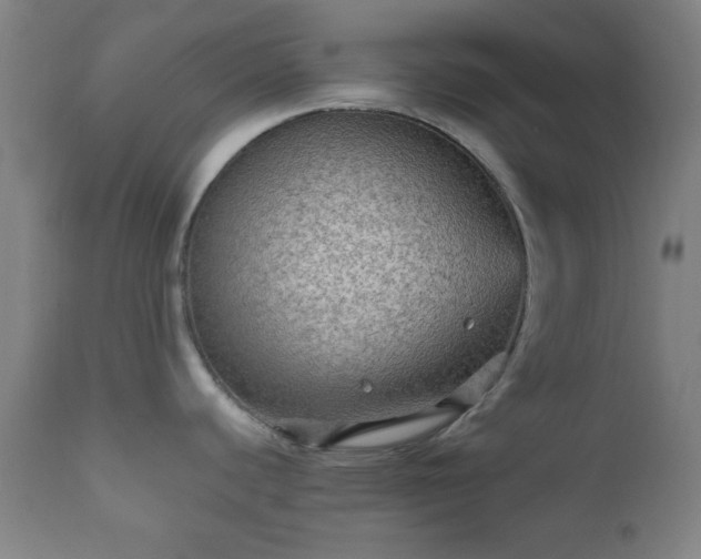 X0000112351440200908201430