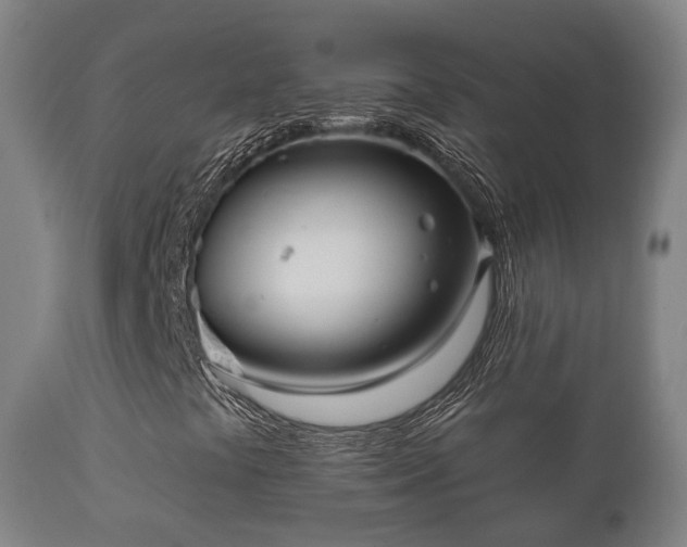 X0000112351441200908201429