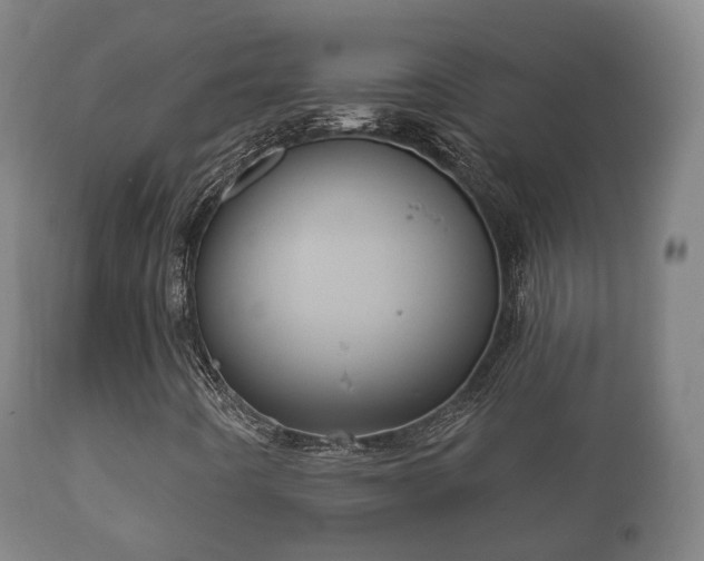 X0000112351442200908201429