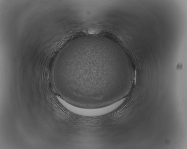 X0000112351443200908201429