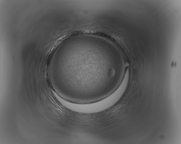 X0000112351444200908201429