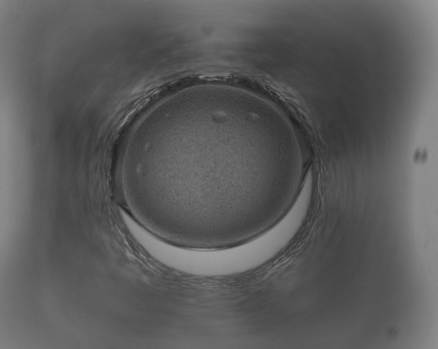X0000112351445200908201429