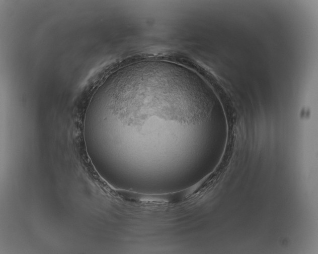 X0000112351447200908201429